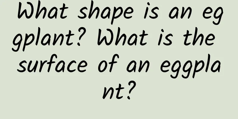 What shape is an eggplant? What is the surface of an eggplant?