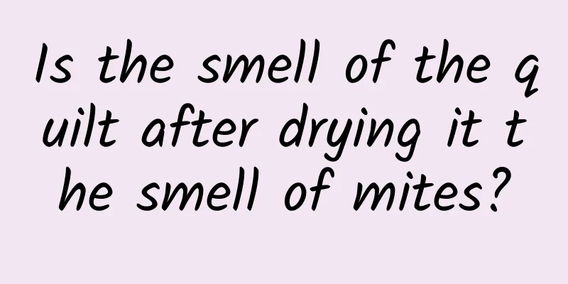 Is the smell of the quilt after drying it the smell of mites?
