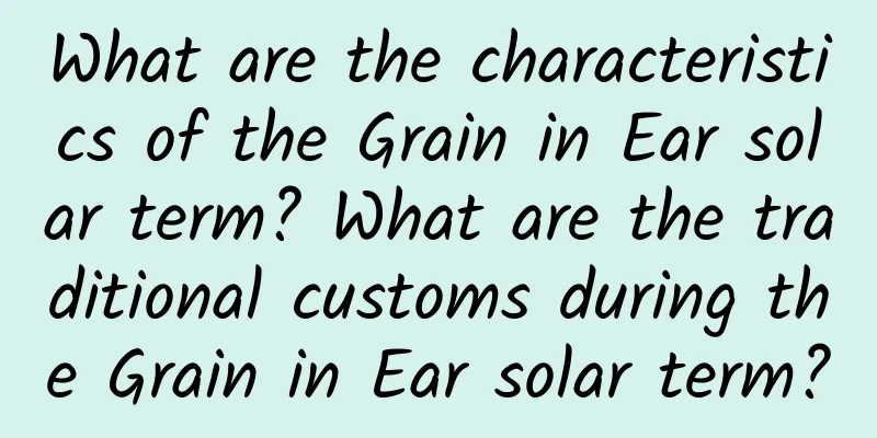 What are the characteristics of the Grain in Ear solar term? What are the traditional customs during the Grain in Ear solar term?