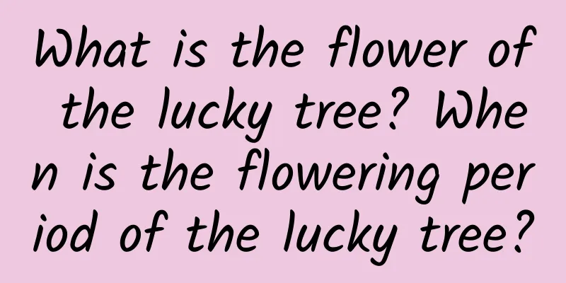 What is the flower of the lucky tree? When is the flowering period of the lucky tree?