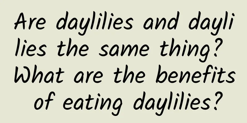 Are daylilies and daylilies the same thing? What are the benefits of eating daylilies?