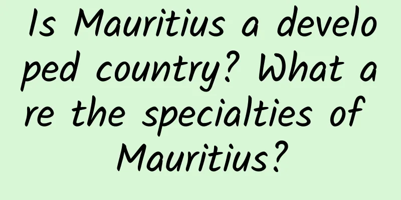 Is Mauritius a developed country? What are the specialties of Mauritius?