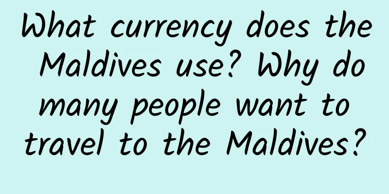 What currency does the Maldives use? Why do many people want to travel to the Maldives?