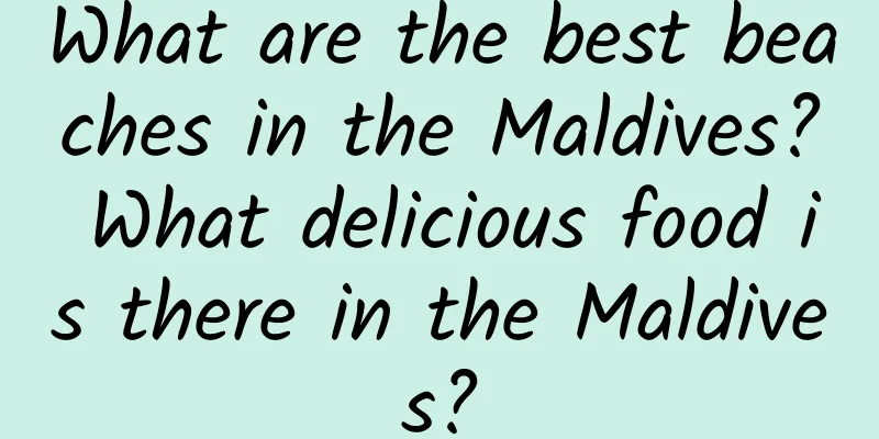 What are the best beaches in the Maldives? What delicious food is there in the Maldives?