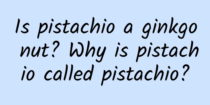 Is pistachio a ginkgo nut? Why is pistachio called pistachio?