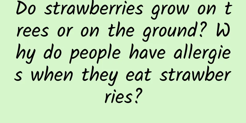 Do strawberries grow on trees or on the ground? Why do people have allergies when they eat strawberries?