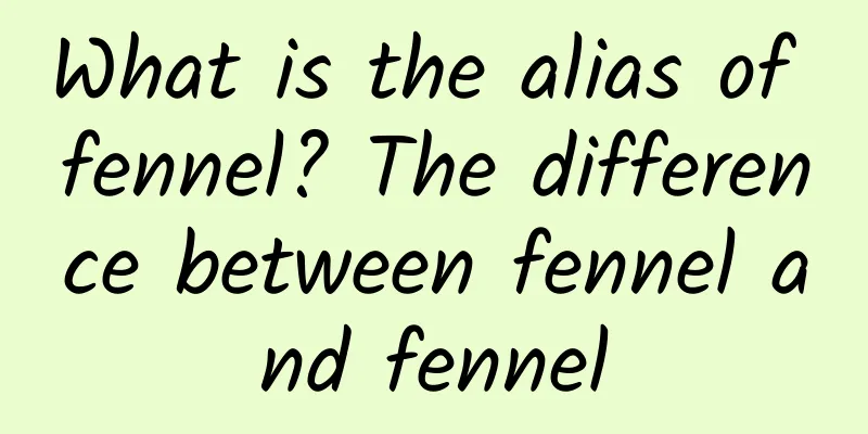 What is the alias of fennel? The difference between fennel and fennel