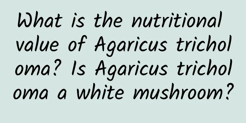 What is the nutritional value of Agaricus tricholoma? Is Agaricus tricholoma a white mushroom?