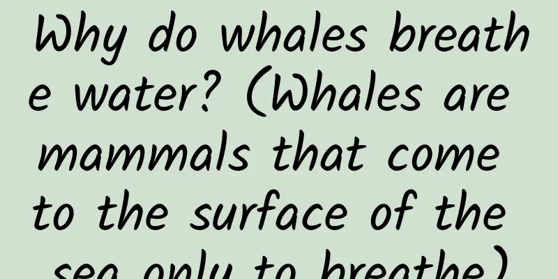 Why do whales breathe water? (Whales are mammals that come to the surface of the sea only to breathe)