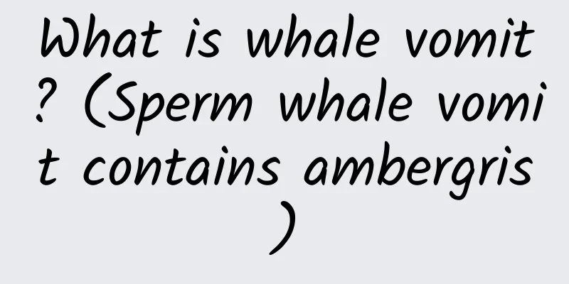 What is whale vomit? (Sperm whale vomit contains ambergris)