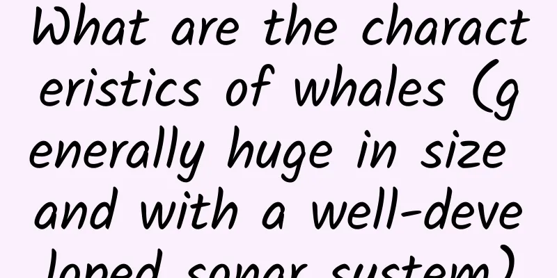 What are the characteristics of whales (generally huge in size and with a well-developed sonar system)