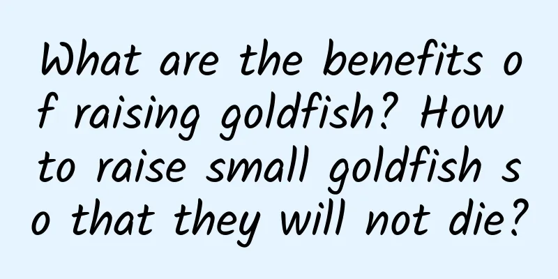 What are the benefits of raising goldfish? How to raise small goldfish so that they will not die?