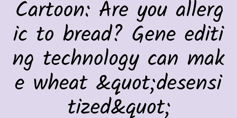 Cartoon: Are you allergic to bread? Gene editing technology can make wheat "desensitized"