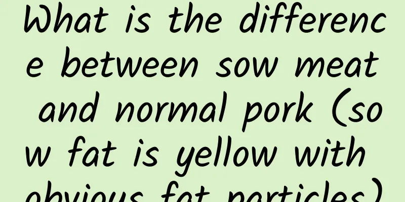 What is the difference between sow meat and normal pork (sow fat is yellow with obvious fat particles)