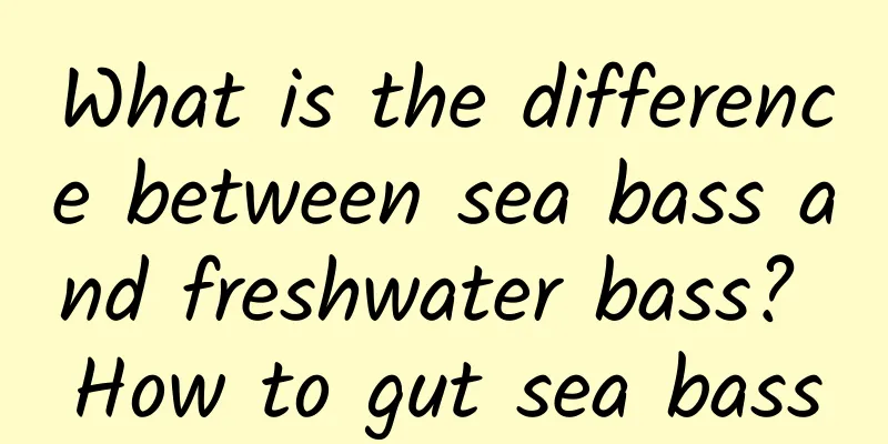 What is the difference between sea bass and freshwater bass? How to gut sea bass