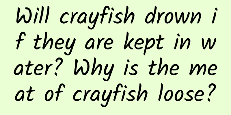 Will crayfish drown if they are kept in water? Why is the meat of crayfish loose?