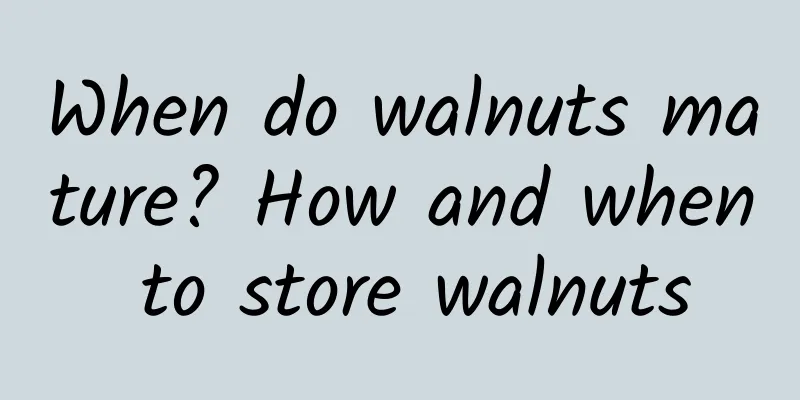 When do walnuts mature? How and when to store walnuts