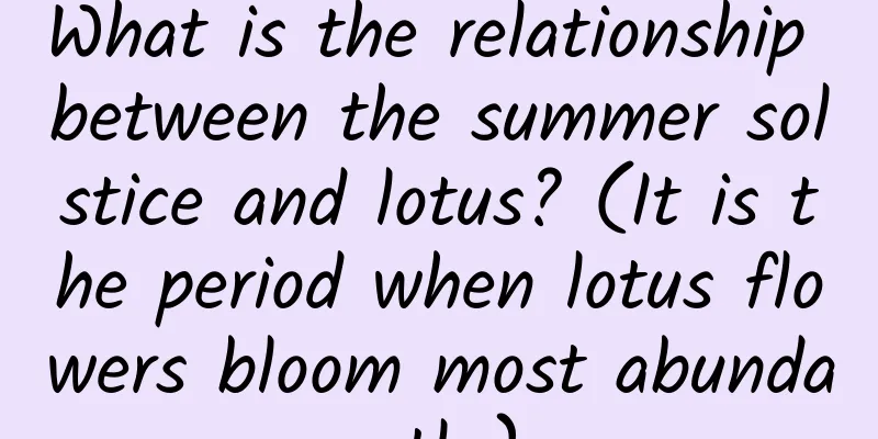 What is the relationship between the summer solstice and lotus? (It is the period when lotus flowers bloom most abundantly)