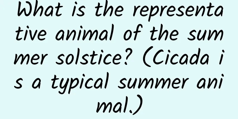 What is the representative animal of the summer solstice? (Cicada is a typical summer animal.)