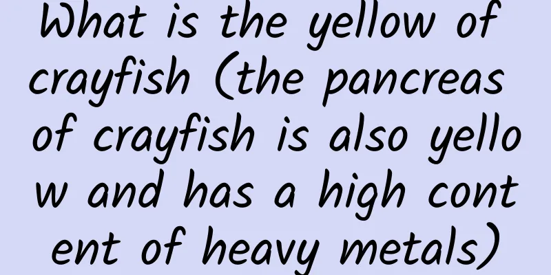 What is the yellow of crayfish (the pancreas of crayfish is also yellow and has a high content of heavy metals)