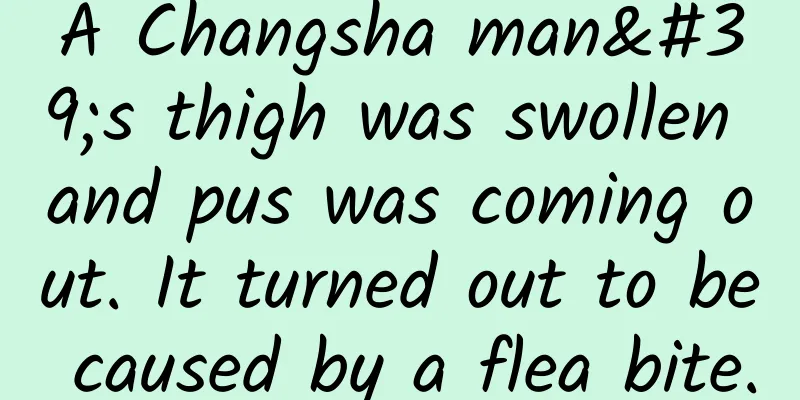 A Changsha man's thigh was swollen and pus was coming out. It turned out to be caused by a flea bite.