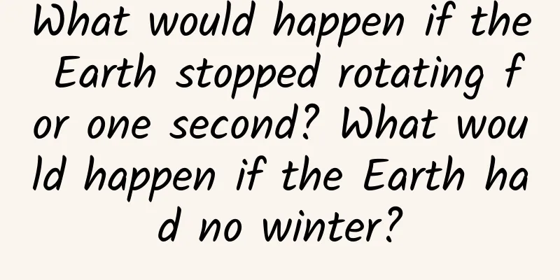 What would happen if the Earth stopped rotating for one second? What would happen if the Earth had no winter?