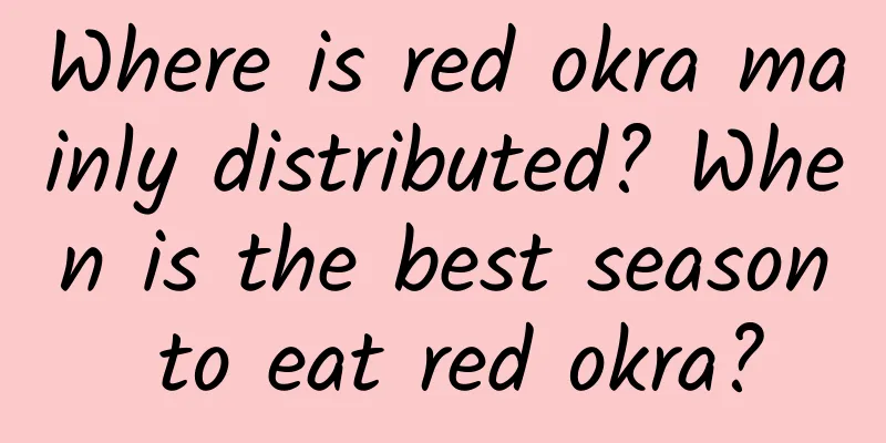 Where is red okra mainly distributed? When is the best season to eat red okra?