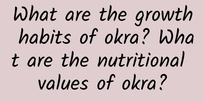 What are the growth habits of okra? What are the nutritional values ​​of okra?