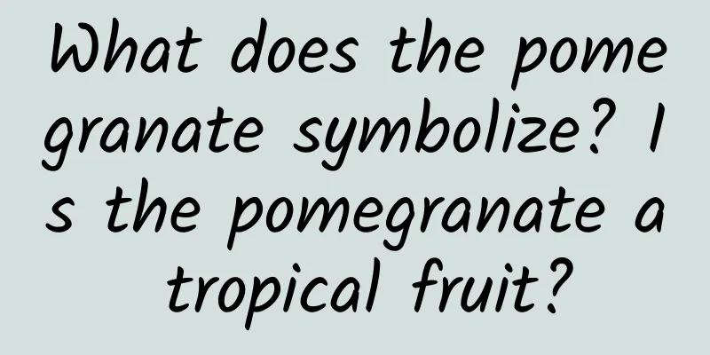 What does the pomegranate symbolize? Is the pomegranate a tropical fruit?