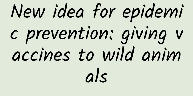New idea for epidemic prevention: giving vaccines to wild animals