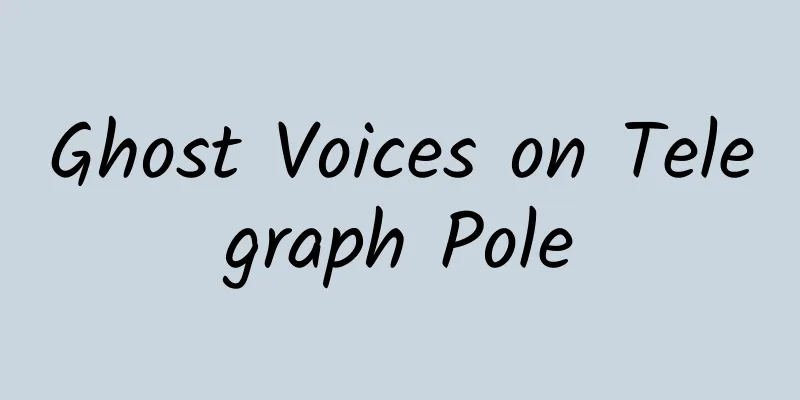 Ghost Voices on Telegraph Pole