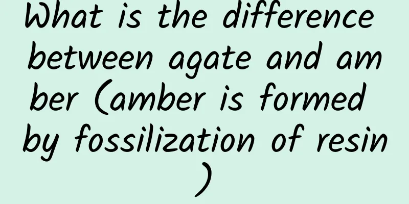 What is the difference between agate and amber (amber is formed by fossilization of resin)