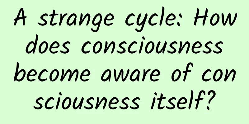 A strange cycle: How does consciousness become aware of consciousness itself?