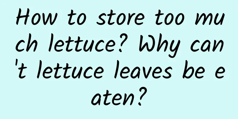 How to store too much lettuce? Why can't lettuce leaves be eaten?