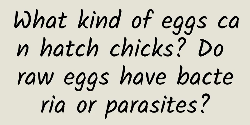 What kind of eggs can hatch chicks? Do raw eggs have bacteria or parasites?