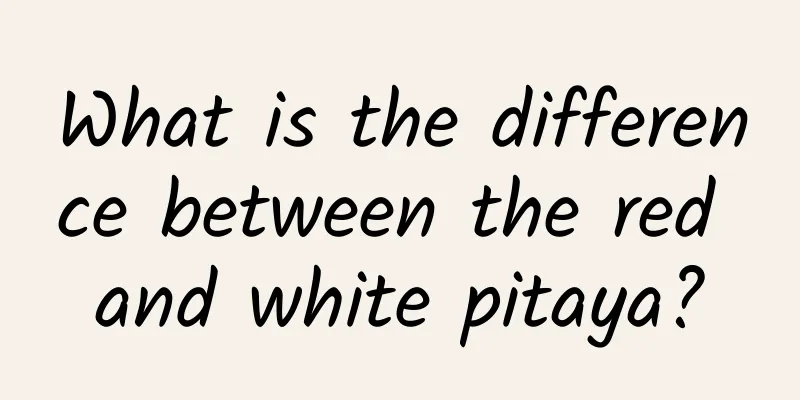 What is the difference between the red and white pitaya?