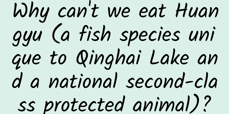 Why can't we eat Huangyu (a fish species unique to Qinghai Lake and a national second-class protected animal)?