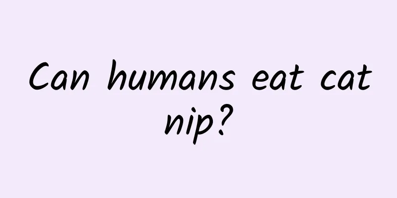 Can humans eat catnip?