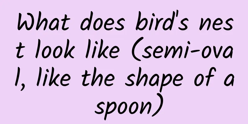 What does bird's nest look like (semi-oval, like the shape of a spoon)