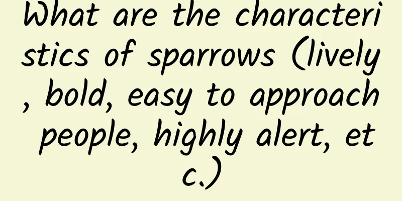 What are the characteristics of sparrows (lively, bold, easy to approach people, highly alert, etc.)