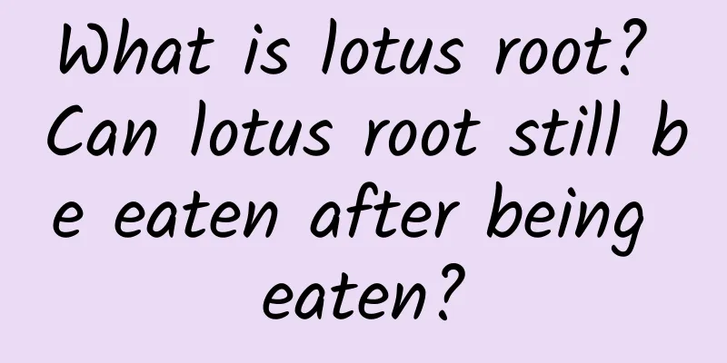What is lotus root? Can lotus root still be eaten after being eaten?