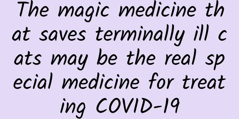 The magic medicine that saves terminally ill cats may be the real special medicine for treating COVID-19