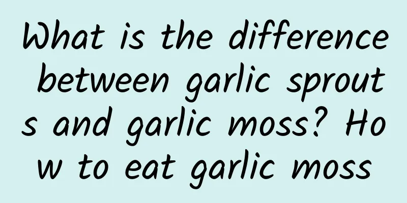 What is the difference between garlic sprouts and garlic moss? How to eat garlic moss