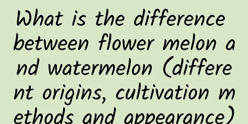 What is the difference between flower melon and watermelon (different origins, cultivation methods and appearance)