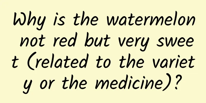 Why is the watermelon not red but very sweet (related to the variety or the medicine)?