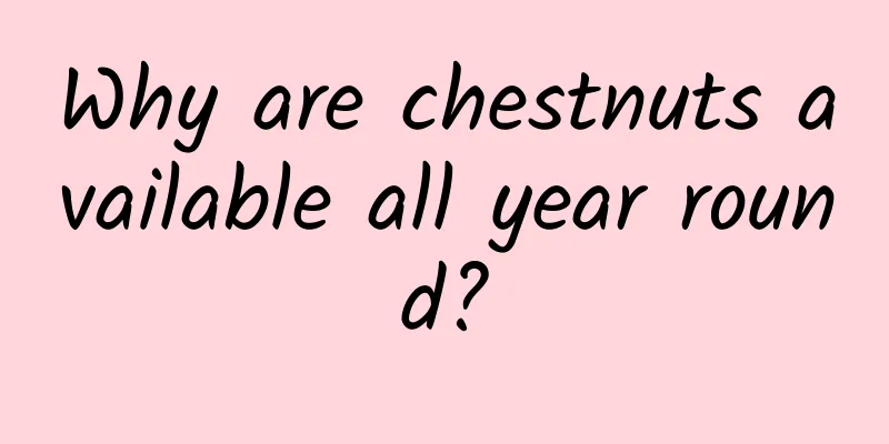 Why are chestnuts available all year round?