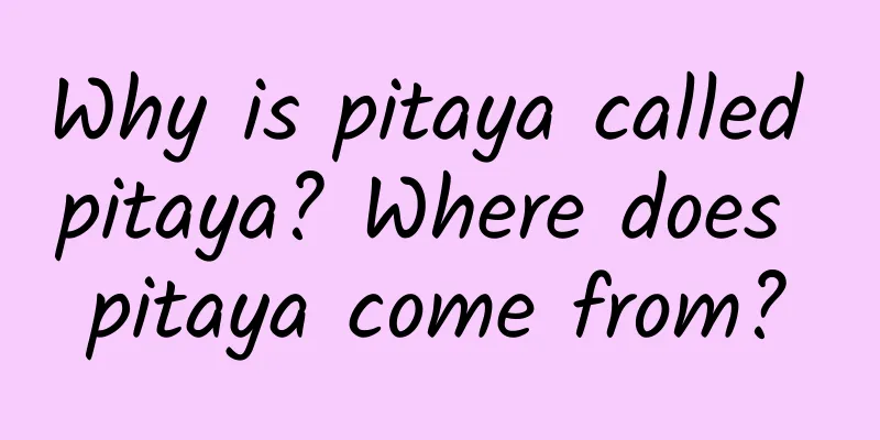 Why is pitaya called pitaya? Where does pitaya come from?