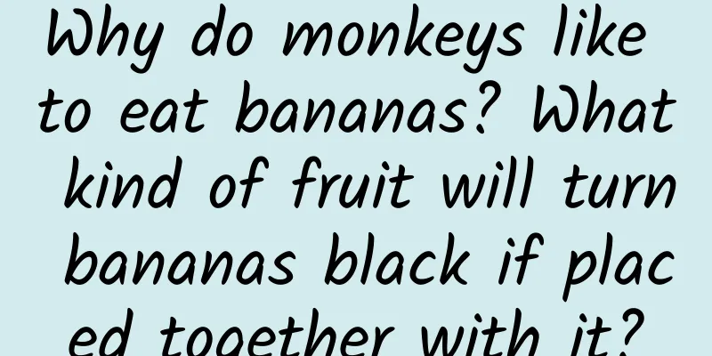 Why do monkeys like to eat bananas? What kind of fruit will turn bananas black if placed together with it?