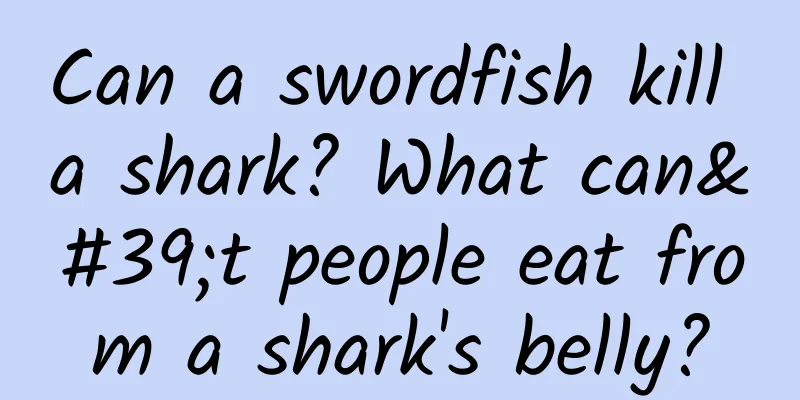 Can a swordfish kill a shark? What can't people eat from a shark's belly?