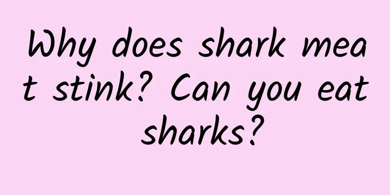Why does shark meat stink? Can you eat sharks?